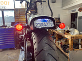 Curved license plate mount with LED lights